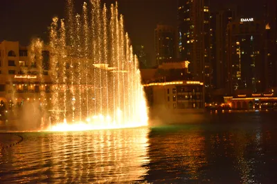 DSC_4136 (Large).JPG